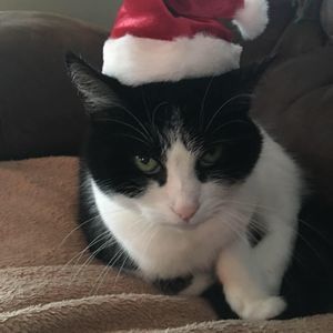 Meet your Posher, Mary ellen